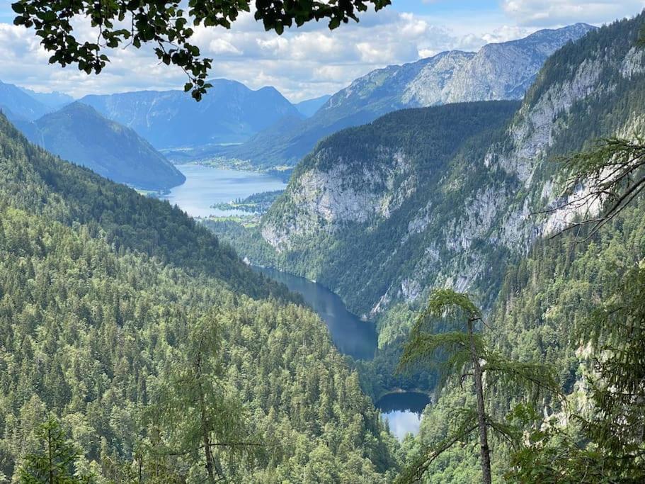 Alpenurlaub II Wohnung Mit Traumausblick 巴德米滕多夫 外观 照片
