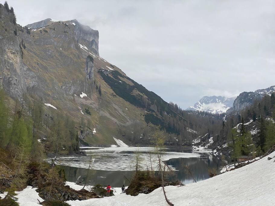 Alpenurlaub II Wohnung Mit Traumausblick 巴德米滕多夫 外观 照片