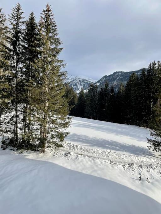 Alpenurlaub II Wohnung Mit Traumausblick 巴德米滕多夫 外观 照片
