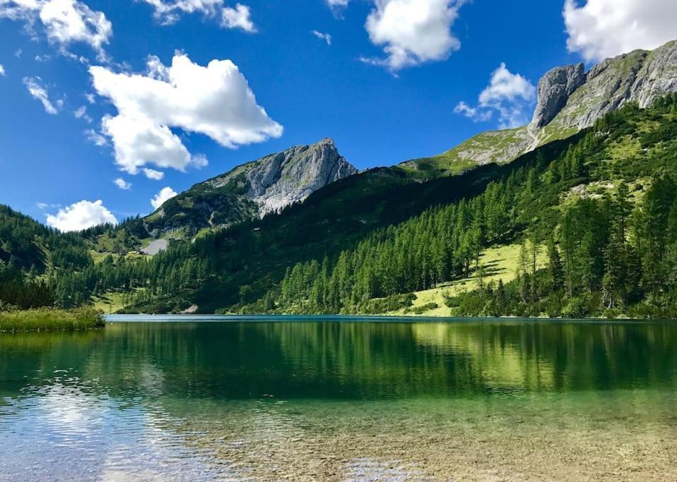 Alpenurlaub II Wohnung Mit Traumausblick 巴德米滕多夫 外观 照片